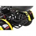 Электротрицикл Citycoco Siberton PRO TRIKE 3000W