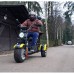 Электротрицикл Citycoco Siberton PRO TRIKE 3000W