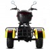 Электротрицикл Citycoco Siberton PRO TRIKE 3000W