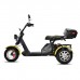 Электротрицикл Citycoco Siberton PRO TRIKE 3000W