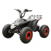 Электроквадроцикл детский Skyboard CyberTruck Karelia 1800W