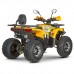 Квадроцикл Dazzle ATV125 Комплектация 2