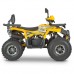 Квадроцикл Dazzle ATV125 Комплектация 2