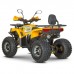 Квадроцикл Dazzle ATV125 Комплектация 2