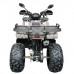 Квадроцикл GRIZLIK T200 LUX Квадроцикл GRIZLIK T200 LUX