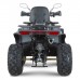 Квадроцикл Dazzle ATV200 Комплектация 2