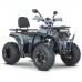 Квадроцикл Dazzle ATV200 Комплектация 2