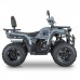 Квадроцикл Dazzle ATV200 Комплектация 2