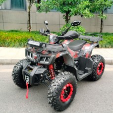 Квадроцикл Motax ATV Grizlik T 200 LUX