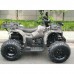 Квадроцикл GRIZLIK T200