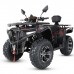Квадроцикл MOTAX Grizlik 300 cc