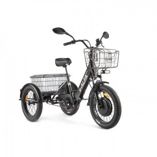 Трёхколёсный электровелосипед GREEN CITY e-ALFA Trike