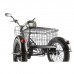 Трёхколёсный электровелосипед GREEN CITY e-ALFA Trike